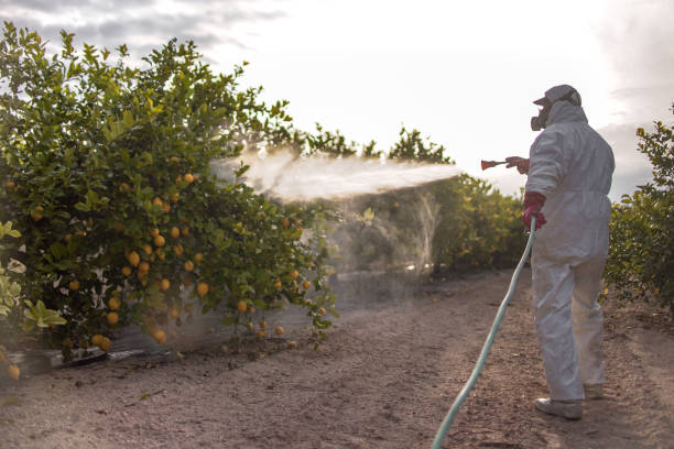 Best Flea Control Services  in La Salle, CO