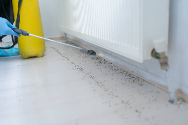 Insect Control in La Salle, CO